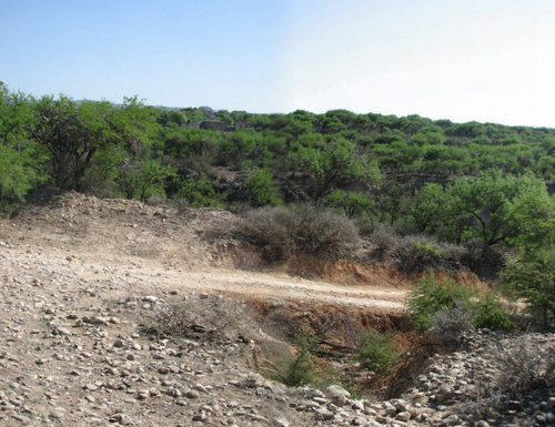 CAMINO VIEJO A ARROYO HONDO  
Actualmente esta en desuso devido al camino de asfalto, solo se usa para ir a parcelas o milpas que se cultivan Este camino se usaba antes para llegar a Arroyo Hondo desde el pozo del carmen pasando por la puerta del refugio